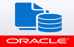 Oracle数据库管理工具有哪些?-北京OD线上平台,OD（中国）公司