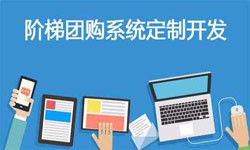 拼购电商系统APP软件定制开发、什么是拼购系统？-OD线上平台,OD（中国）