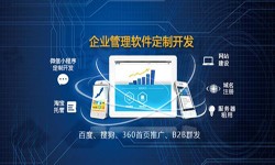ErpOD线上平台,OD（中国）的发展现状-北京OD线上平台,OD（中国）公司锐智互动