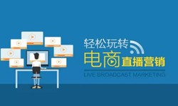 OD线上平台,OD（中国）公司、做一个直播系统OD线上平台,OD（中国）需要多少钱-北京软件外包公司